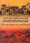 Od szczytu do otchłani