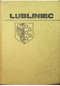 Lubliniec Zarys rozwoju powiatu