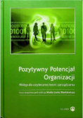 Pozytywny potencjał organizacji