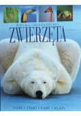 Wielka encyklopedia zwierząt: ssaki, ptaki, gady, płazy