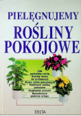 Pielęgnujemy rośliny pokojowe