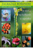 Zagrażają roślinom. Atlas chorób i szkodników