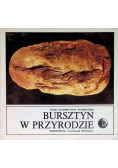 Bursztyn w przyrodzie