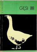 Gęsi