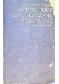 Spadochrony nad okupowaną Wielkopolską
