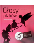 Głosy ptaków