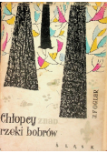 Chłopcy znad rzeki bobrów