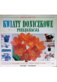 Kwiaty doniczkowe pielęgnacja poradnik praktyczny