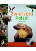 Zwierzęta Polski