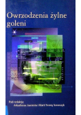 Owrzodzenia żylne goleni