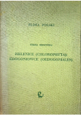 Flora Polski Zielenice chlorophyta edogoniowce oedogoniales