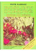 Rośliny domowe końca XX wieku