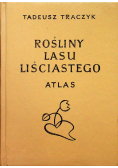 Rośliny lasu liściastego