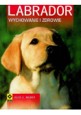 Labrador