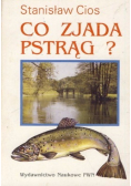 Co zjada pstrąg