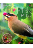 Ptaki Polski Część 2