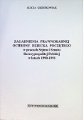 Zagadnienia prawnokarnej ochrony dziecka poczętego