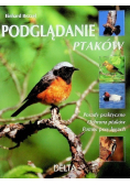 Podglądanie ptaków