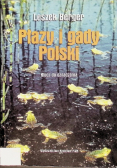 Płazy i gady Polski