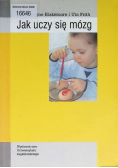 Jak uczy się mózg