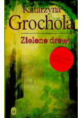Zielone drzwi