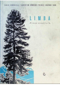 Limba pinus cembra L