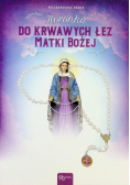 Koronka do krwawych łez Matki Bożej