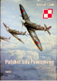 Polskie siły powietrzne w wojnie