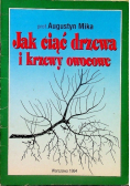 Jak ciąć drzewa i krzewy owocowe