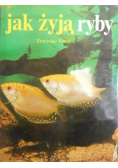 Jak żyją ryby