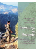 Rewolucja w Rożawie