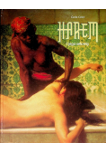 Harlem i jego sekrety