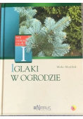 Iglaki w Ogrodzie