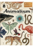 Animalium
