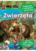 Zwierzęta Książeczka z naklejkami + panorama