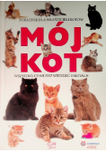Mój kot