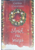 Anioł na śniegu
