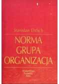 Norma grupa organizacja