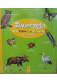 Zwierzęta Moja kolorowo ilustrowana książeczka