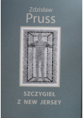 Szczygieł z New Jersey