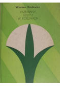 Przemiany azotu w roślinach