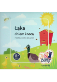 Łąka Dniem I Nocą