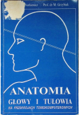Anatomia głowy i tułowia na przekrojach tomokomputerowych