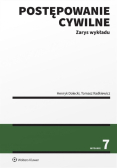 Postępowanie cywilne. Zarys wykładu