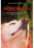 Nosem psa Wycieczka do fascynującego świata zapachów