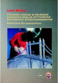 Spawanie łukowe w osłonach gazowych według wytycznych krajowych i międzynarodowych