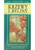 Popularne krzewy i byliny