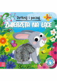 Dotknij i poczuj. Zwierzęta na łące.