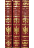 Polska jej dzieje i kultura od czasów najdawniejszych aż do chwili obecnej 1927 - 1930 Tom 1 do 3