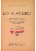 Koń na wzgórzu, 1922 r.